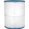 Jacuzzi® 50 sqft ProClassic™ Filter Cartridge, exclusively on 2023+ J-200™ Collection Models